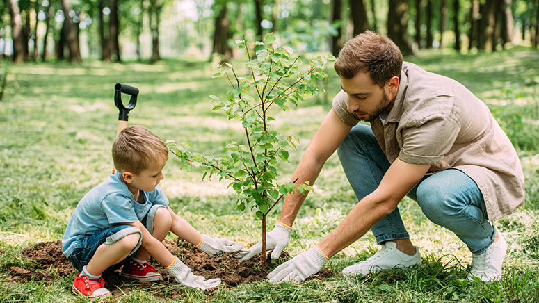 Dad with son planting tree